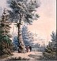 Orto Botanico Grazioso acquerello del mille ottocento (Fausto Levorin Carega) 2